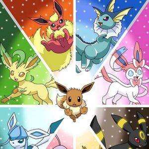 Meet your Posher, Mina